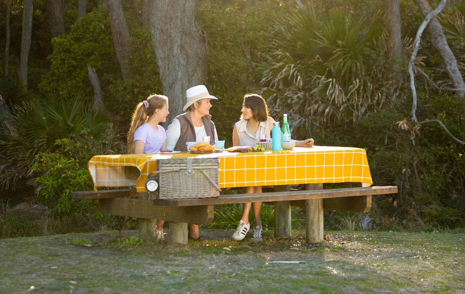 people at picnic
