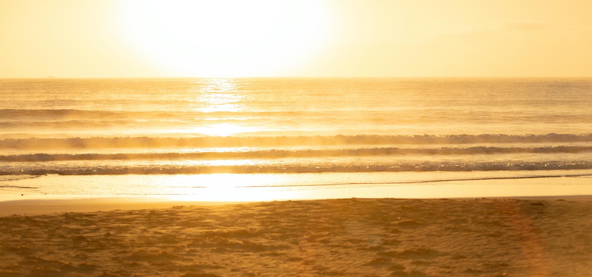 people with surfboard